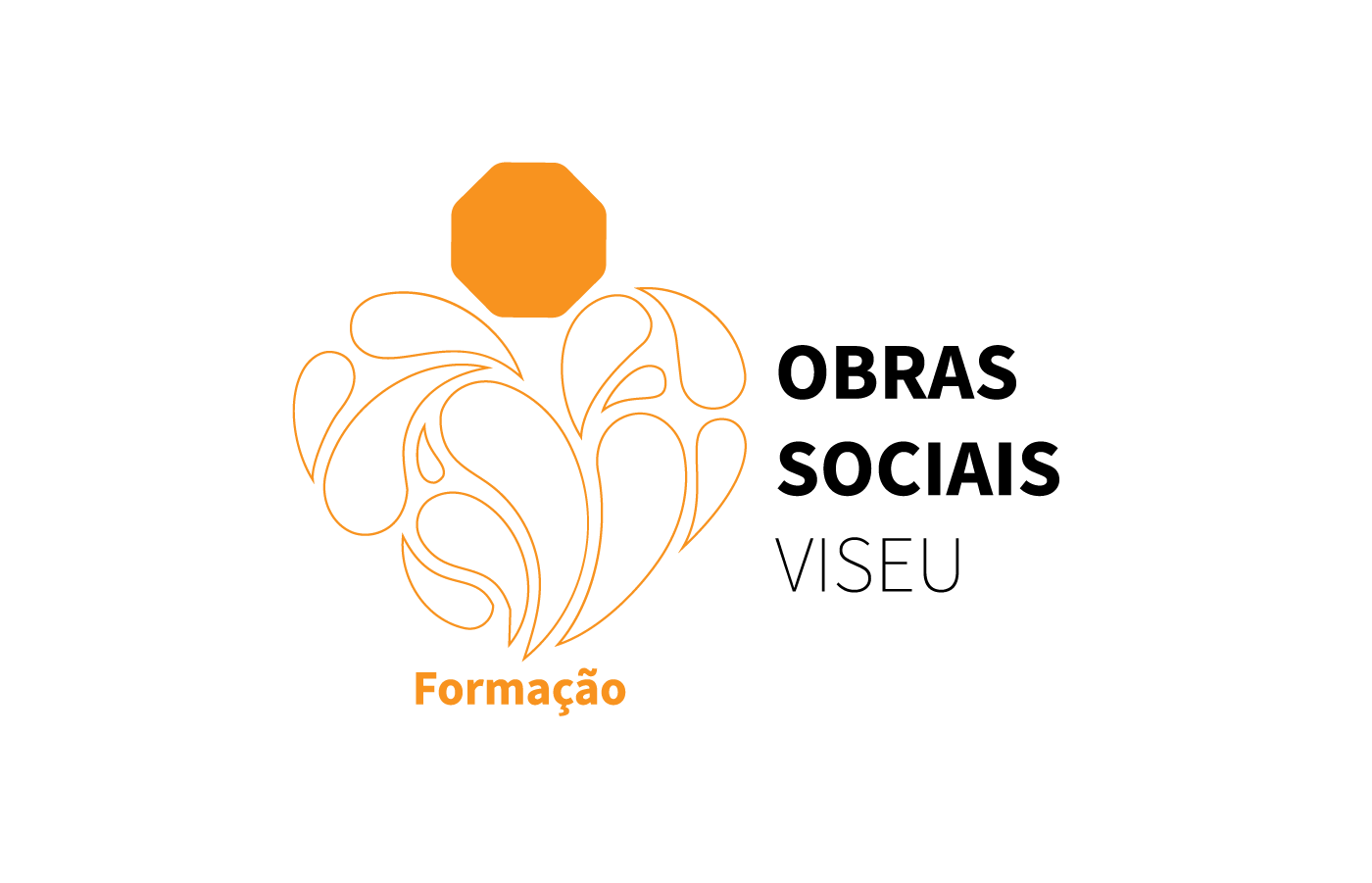 Obras Sociais de Viseu — Formação