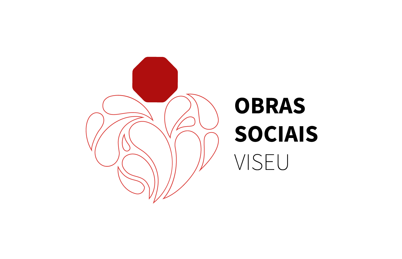 Obras Sociais de Viseu